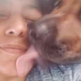 Pet Sitting/Walking Offered in The Colony