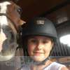 Love Horses?