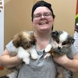 Dedicated and Loving Dogsitter