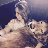 Strafford Pet Carer Available For Work