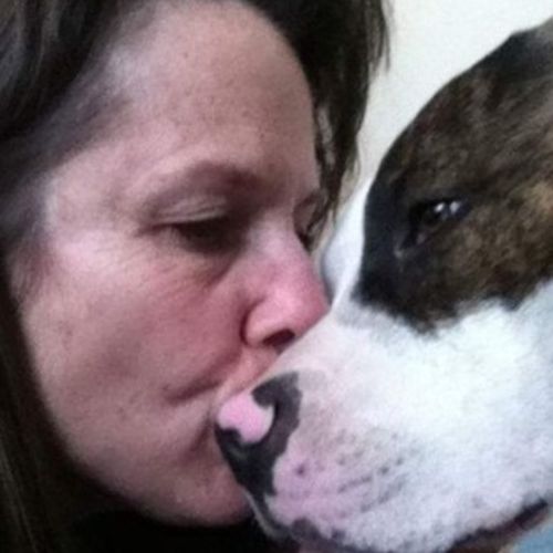 House Sitter Provider Kellie C's Profile Picture
