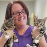 Vet Tech professional pet sitting in your home!