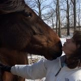 For Hire: Exotic and Farm Animal Pet Sitting and Boarding in Avon, IN and surrounding area.