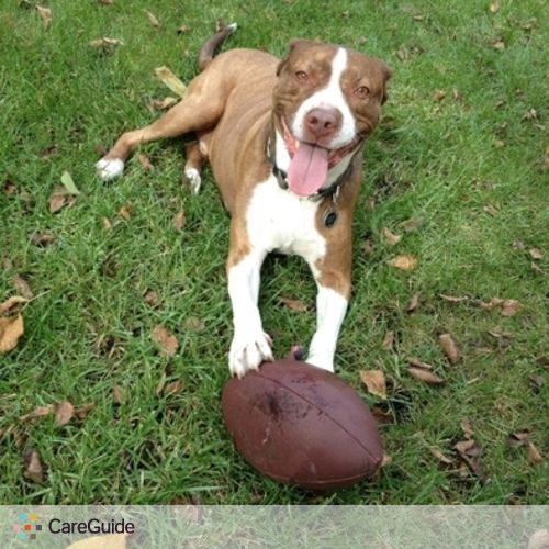 Pet Care Job Bernie Windsor's Profile Picture