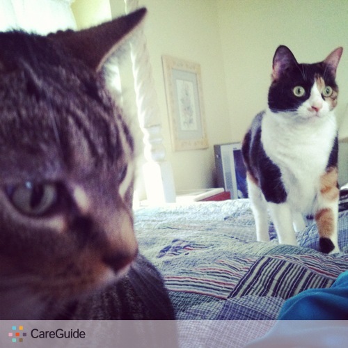 Pet Care Provider Jenna J's Profile Picture