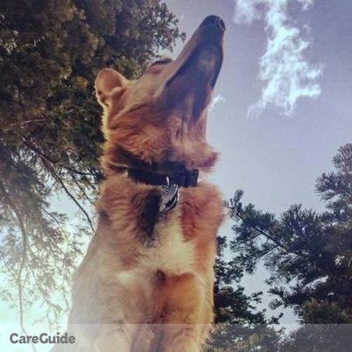Pet Care Provider Nicole M's Profile Picture