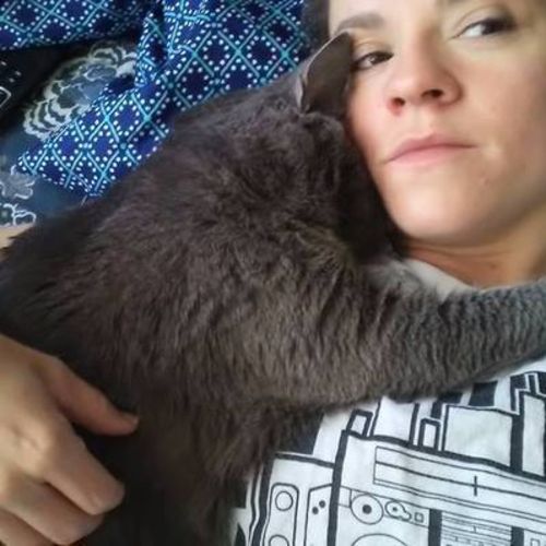 Pet Care Job Mindy Beeler's Profile Picture