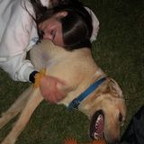 Salt Point Dog and other pet Sitter Searching for Being Hired in New York