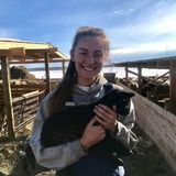 Having grown up on a farm, I love animals and would glady take care of them when you're not able to!