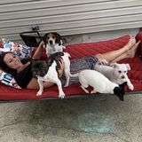 Available: Seasoned Dog Walker in Tonawanda