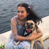 Available For Kissimmee Petsitter Opportunity