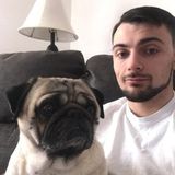 Interviewing For a Dog Walker/Pet sitter Job in Los Angeles, California