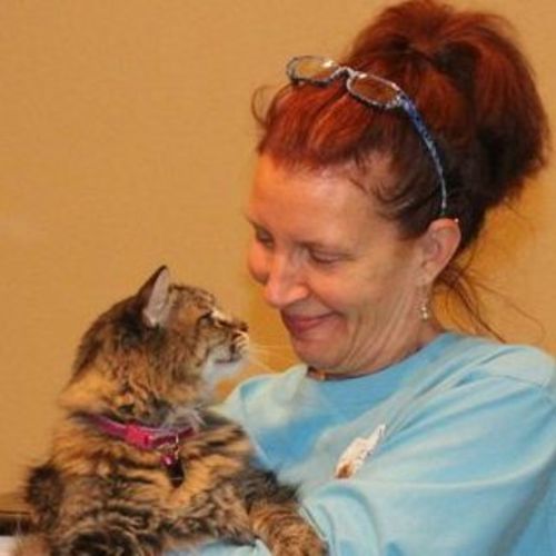 House Sitter Provider Annie O's Profile Picture