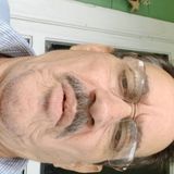 Hamilton Dog Walker Available For Work in Ohio