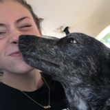 For Hire: Professional Dog Sitter in Mount Sinai, New York