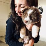 Little Le LOVES Little Dogs