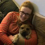 Searching for a house sitting position where I can be of help and service to a family that can use my abilities and services