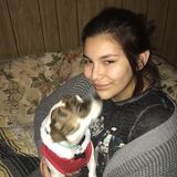 Pet sitting