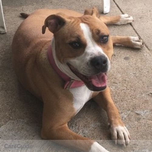 Pet Care Provider George Ransford's Profile Picture