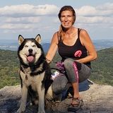 Available For a Pet Service Provider Job in Elizabethtown, Pennsylvania