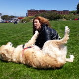 Capable Dog Trainer for Your Home