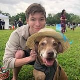 Northwestern Student: Clean, Responsible, Pet-loving! House and pet-sitter