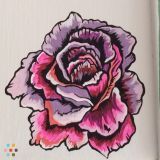 Custom paintings, murals and more!