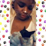 Seeking San Dimas Cat Care Provider, California Jobs