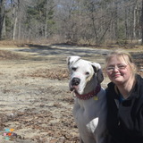 Pet sitter available in Kitchener-Waterloo