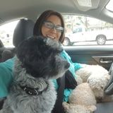 I am a experienced dog walker with a clean record of 150+ dog walks, and dog sitter. I am dog owner and dog lover!