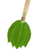 The Cleaner Sweep - using all green cleaners