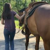 Available: Seasoned Pet Service Provider in Sparta, New Jersey