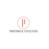 Professional Cleaner Job Description