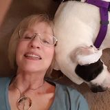 I provide loving care when you cannot be there!
