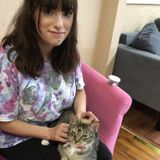 Consistent Petsitter for Your Home