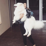 Needed: Boston, Massachusetts Pet Sitter