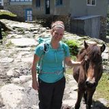 Available: PetSitter and Walker in Minneapolis