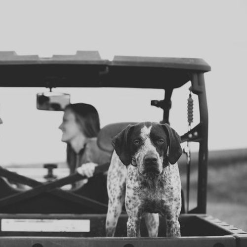Pet Care Job Hanna F's Profile Picture