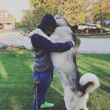Riverwoods Cat and Dog Sitting/Walking Professional Interested In Job Opportunities in Illinois
