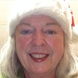 I am an experienced, insured and mature house/pet sitter
