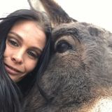 Interested In Fernley Animal Sitter Opportunity