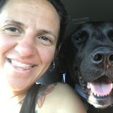 Loving Animal Caregiver for Hire