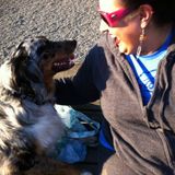 Whidbey Island Pet Sitter, Dog Walker, & Pooper Scooper