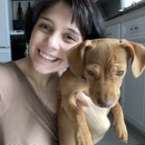 Searching for Valparaiso Pet Sitter Jobs