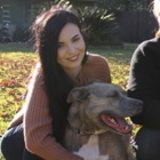 Personable and Experienced Pet Care Provider- PET CPR & FIRST AID CERTIFIED