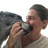 Montreal/South Shore pet sitter and care provider. Dogs, Cats, Small animals
