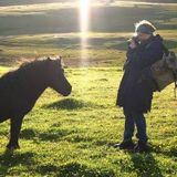 Seasoned House Sitter in Miramichi