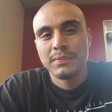 Arleta, California House Sitter
