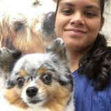 Able to take care of ALL animals