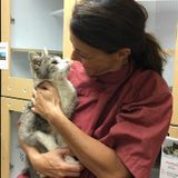 Experienced In-home Pet Care